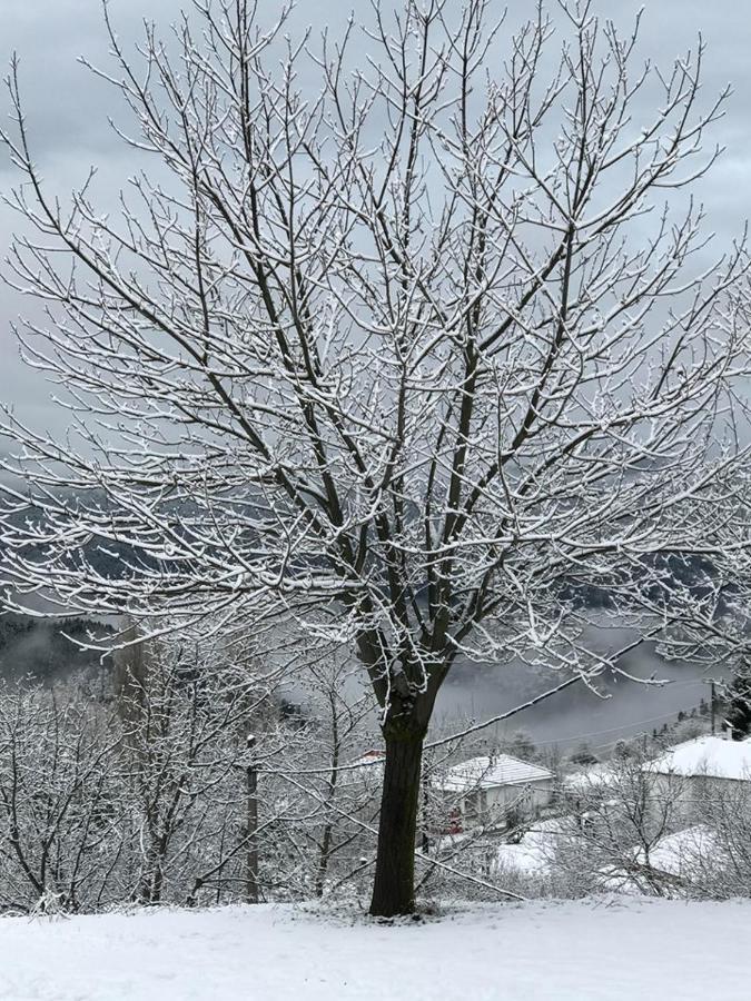 Mikro Katafygio Stavli Luaran gambar