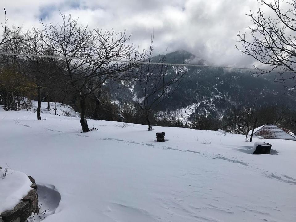 Mikro Katafygio Stavli Luaran gambar